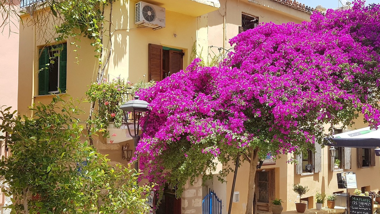 Photo of Outdoor in Old Town