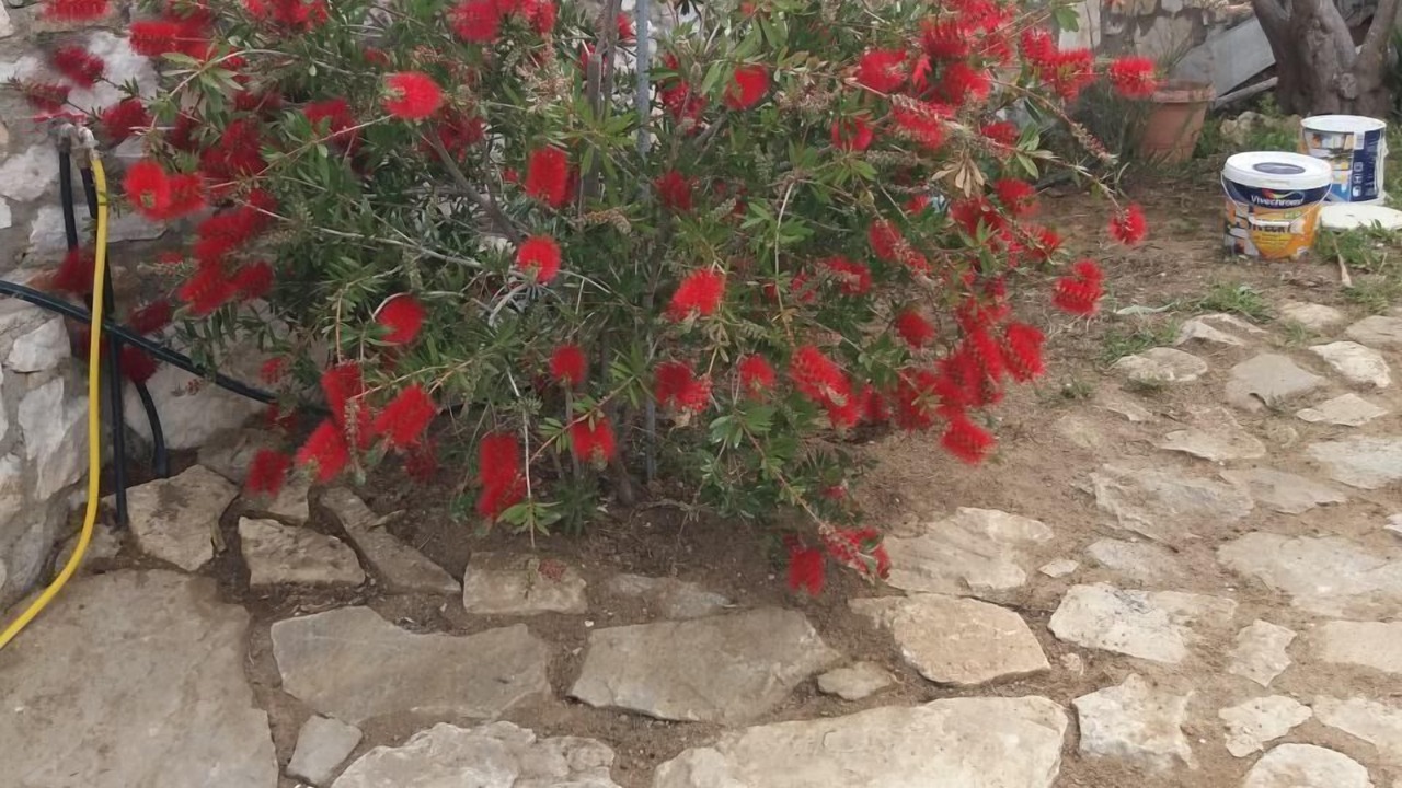 Photo of Outdoor in Glinado