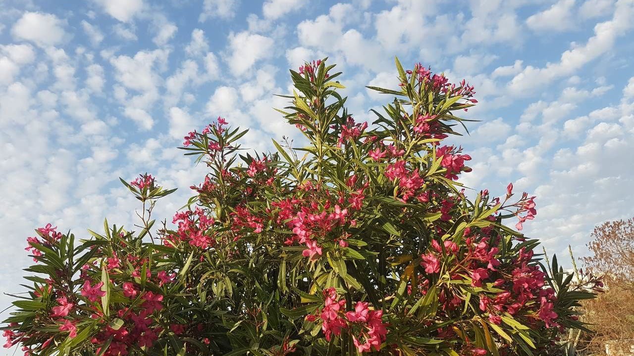 Photo of Outdoor in Glinado
