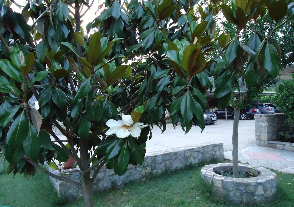 Photo of Outdoor in Sithonia
