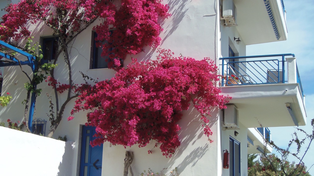 Photo of Outdoor in Sarti