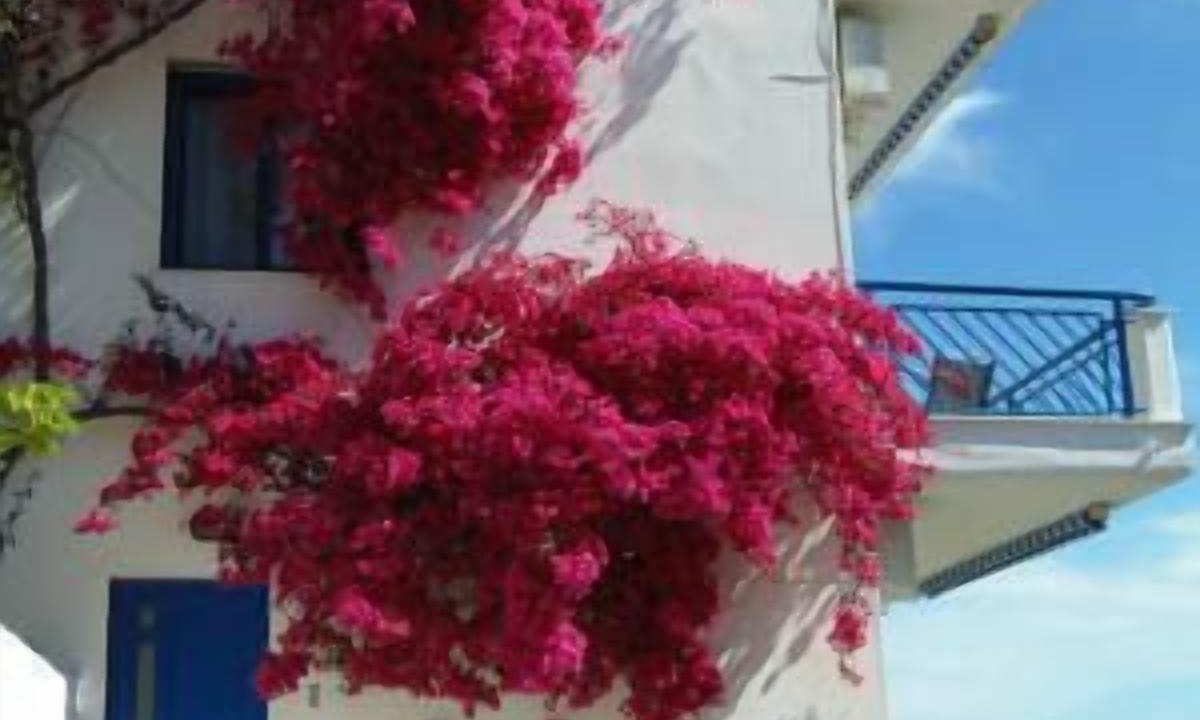 Photo of Outdoor in Sarti