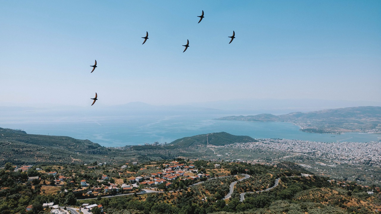 Photo of Outdoor in Portaria
