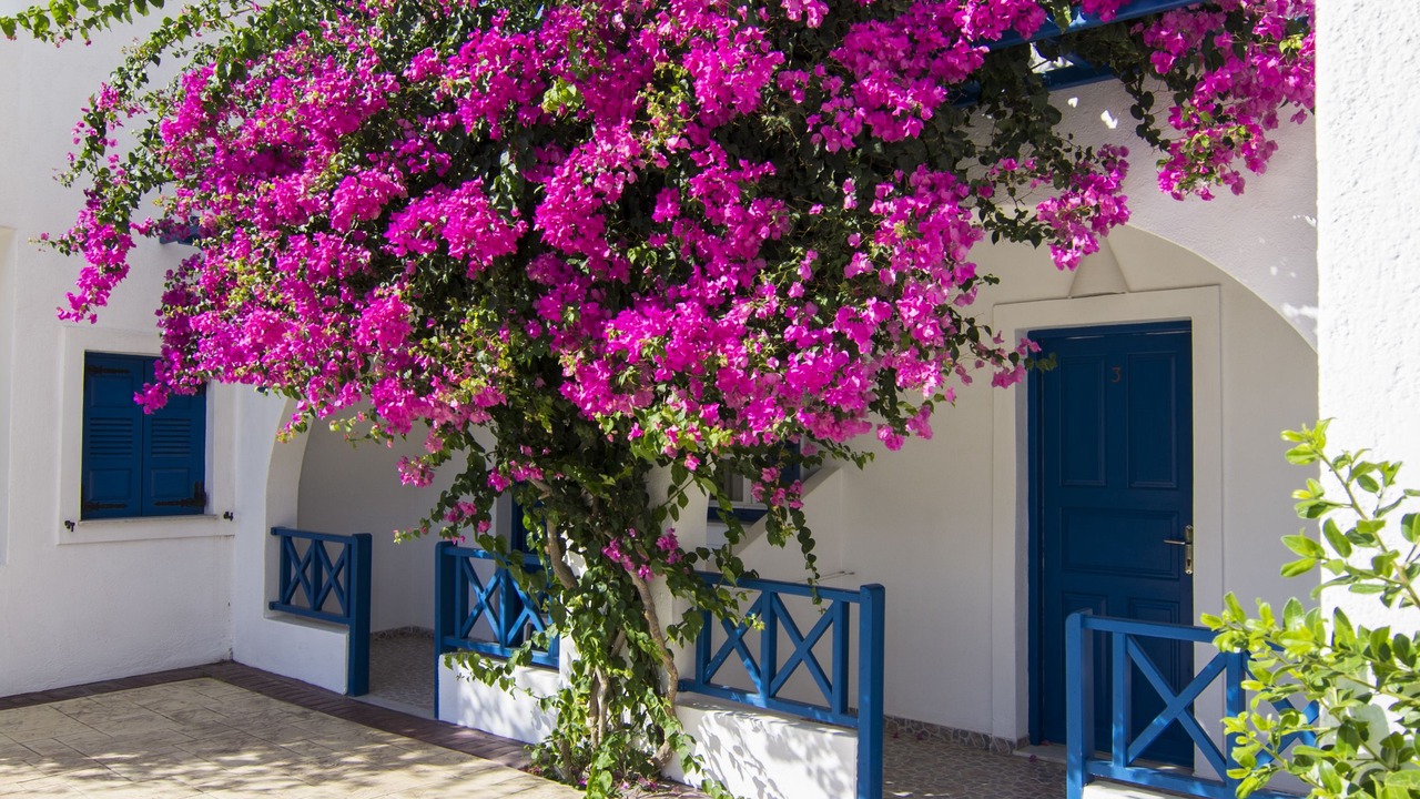 Photo of Outdoor in Perivolos