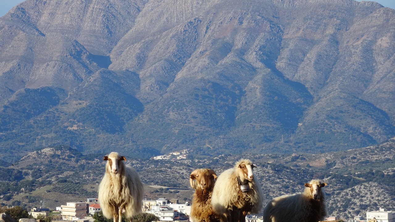 Photo of Outdoor in Anogia