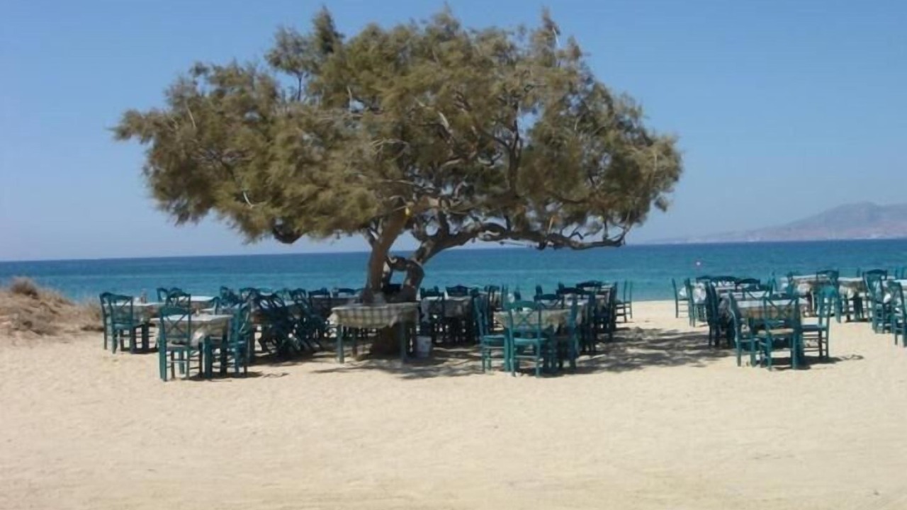 Photo of Others in Agia Anna