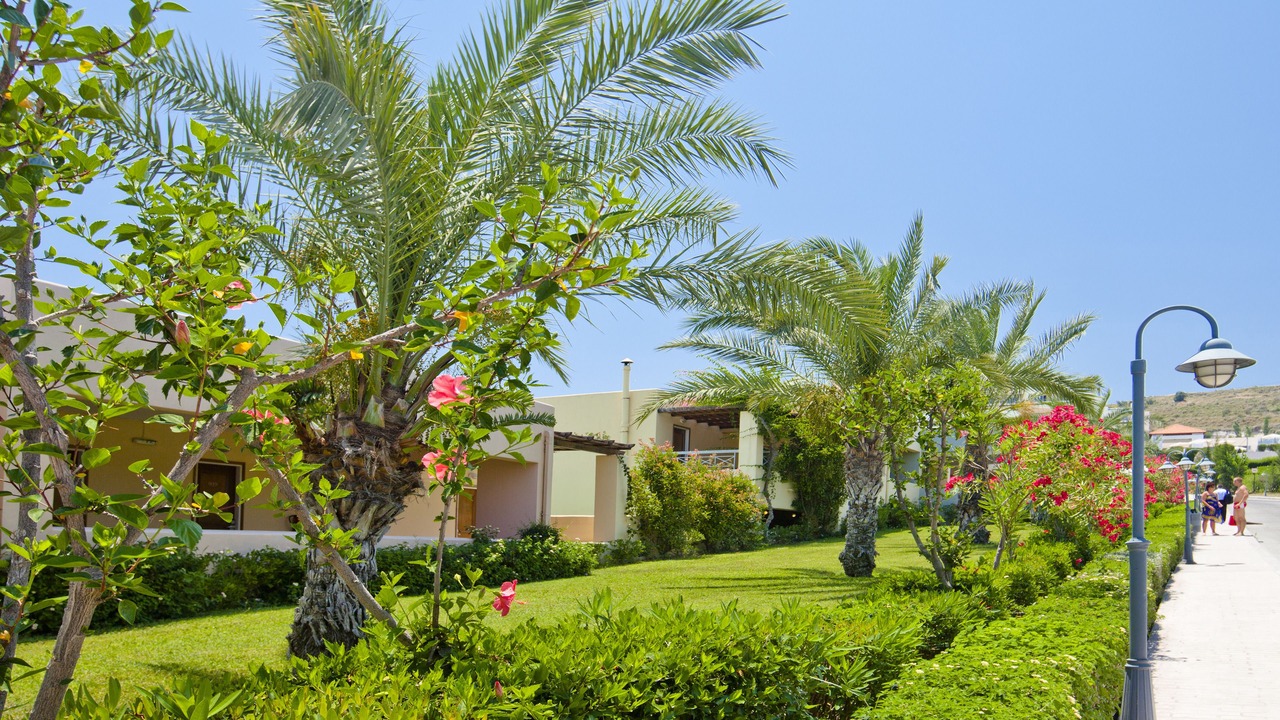 Photo of Outdoor in Psalidi