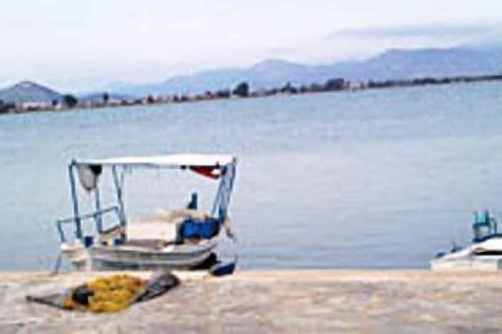 Photo of Others in Mili