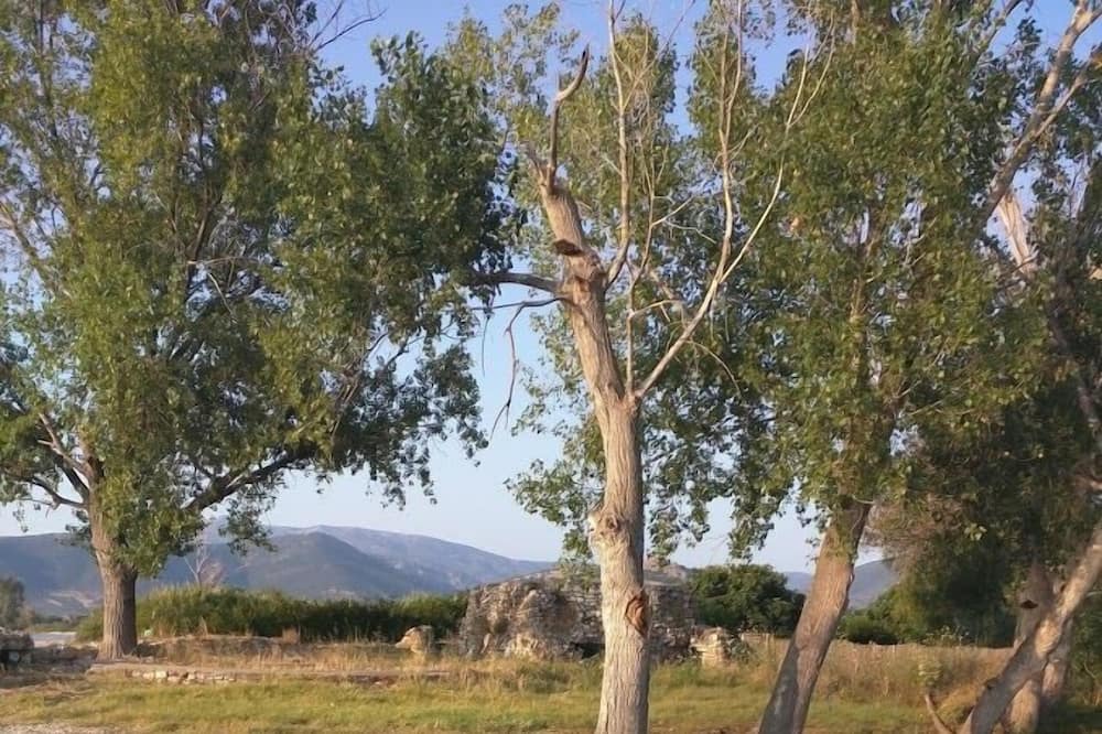 Photo of Outdoor in Mili