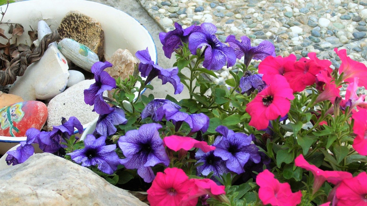 Photo of Outdoor in Plaka