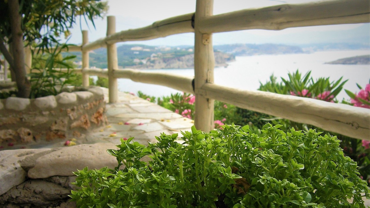 Photo of Patio Balcony in Plaka