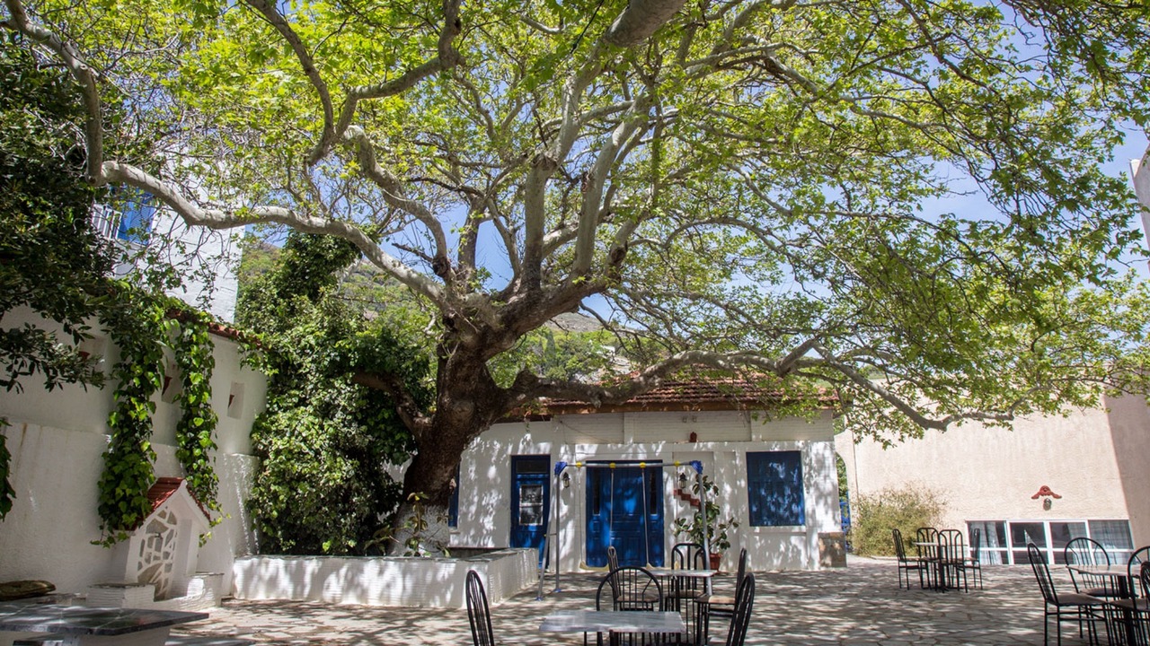 Photo of Outdoor in Apikia