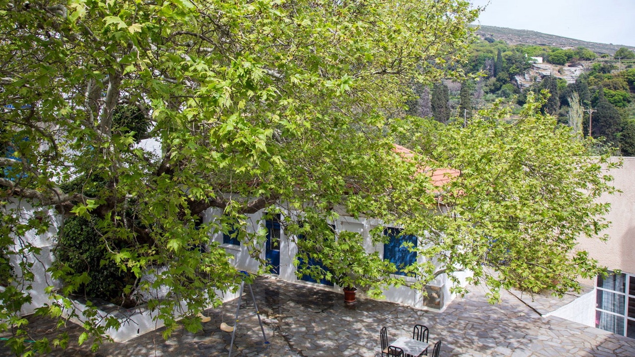 Photo of Outdoor in Apikia