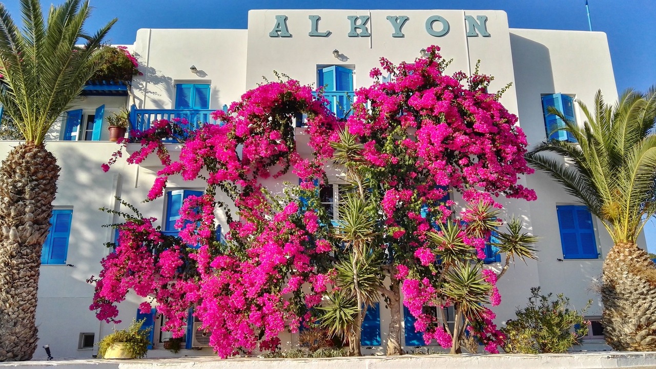 Photo of Outdoor in Megas Gialos