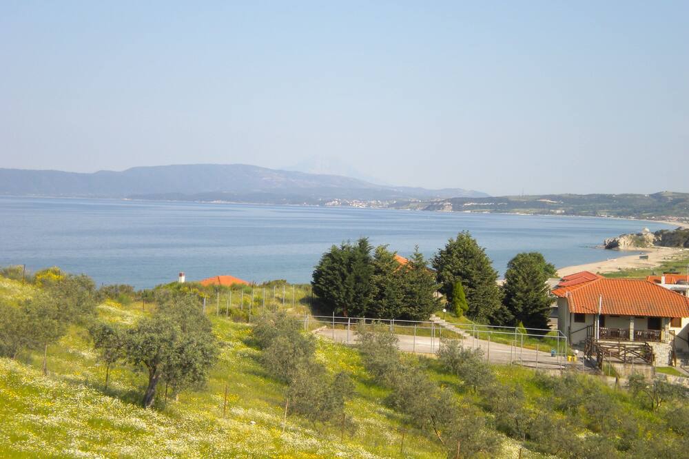 Photo of Others in Aristotelis