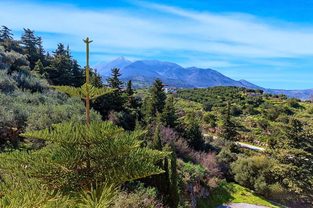 Photo of Outdoor in Kournas