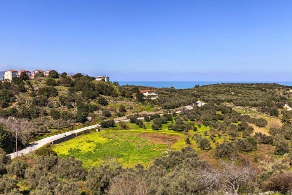 Photo of Others in Kournas