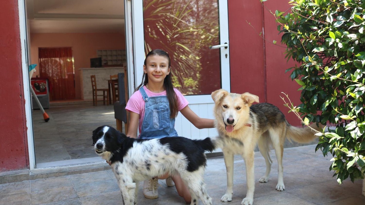 Photo of Outdoor in Pelekas
