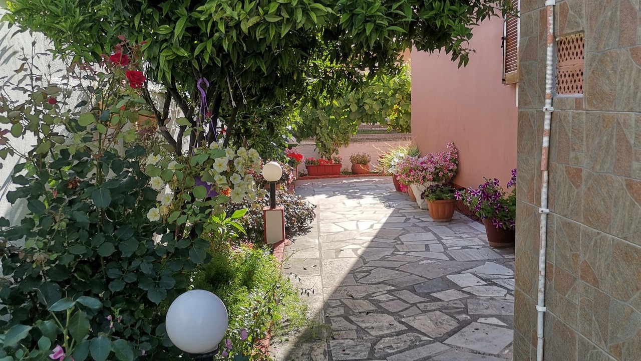 Photo of Outdoor in Sidari
