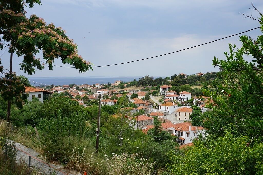 Photo of Outdoor in Nikita