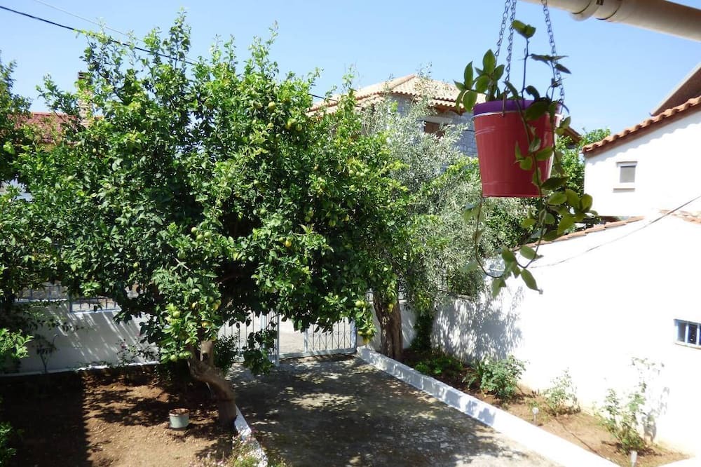 Photo of Outdoor in Paralia Vergas