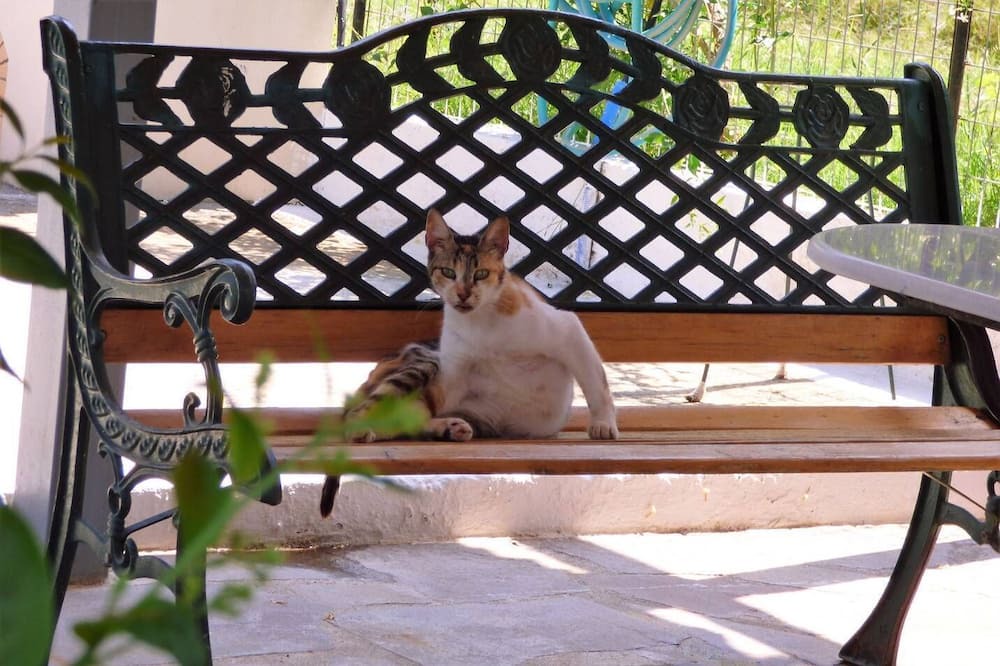 Photo of Others in Paralia Vergas
