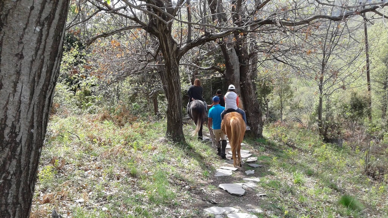 Photo of Others in Nikisiani