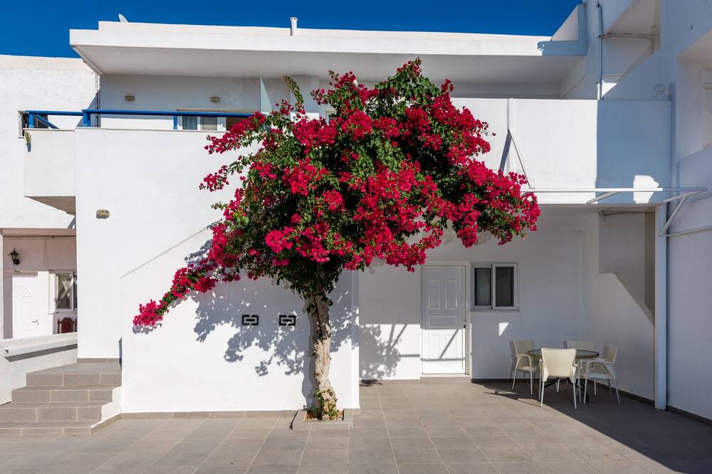Photo of Outdoor in South Rhodes