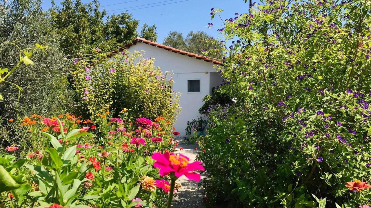 Photo of Outdoor in Kolymbia