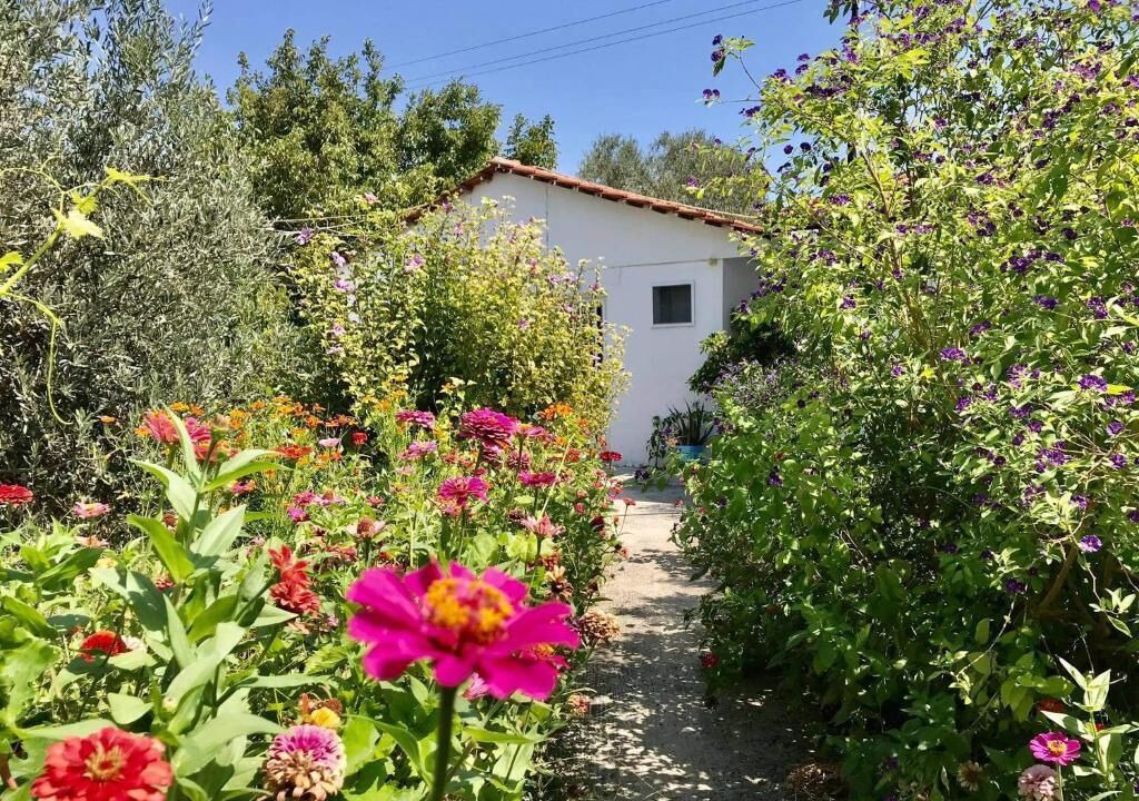 Photo of Outdoor in Kolymbia