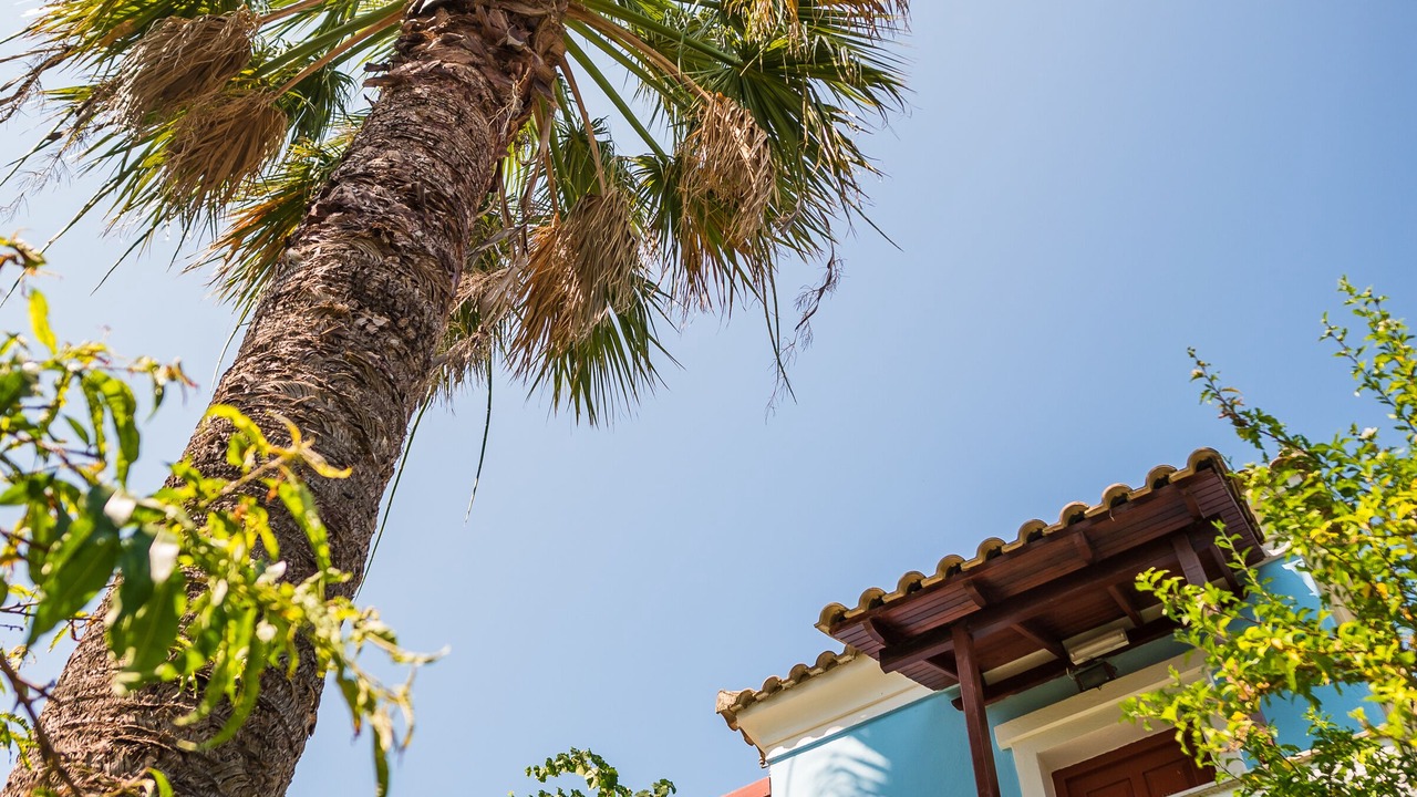 Photo of Outdoor in Messonghi