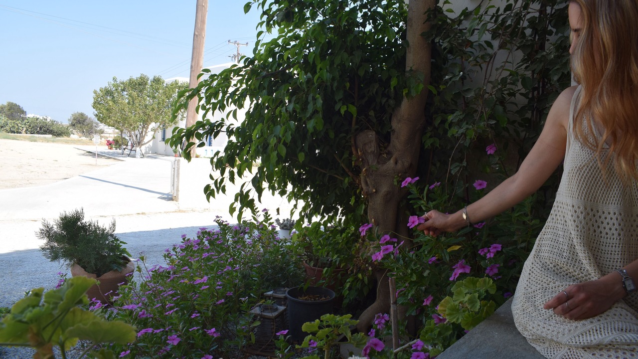 Photo of Outdoor in Agia Anna