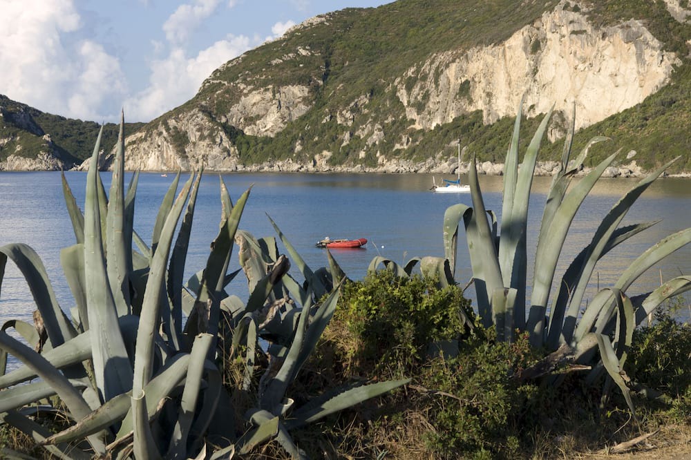 Photo of Others in Agios Georgios Pagon