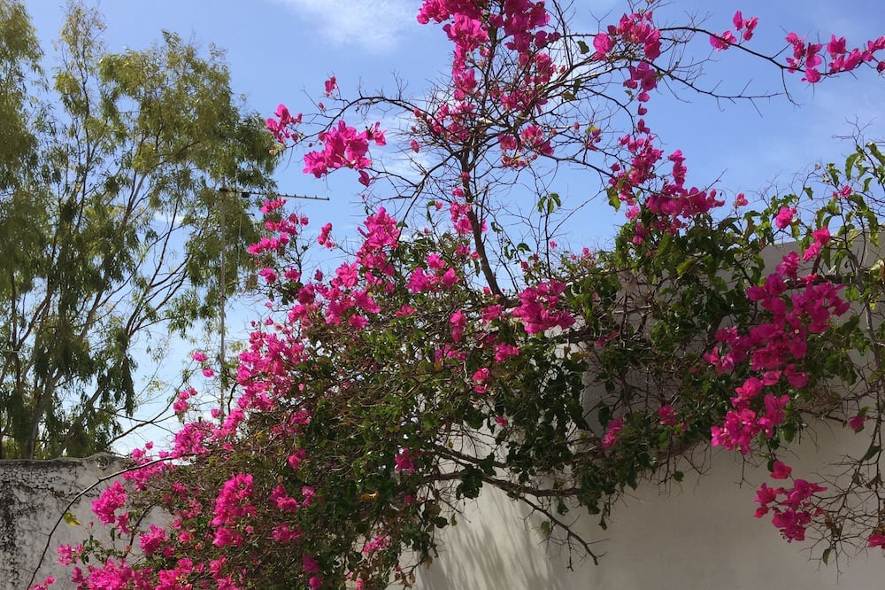 Photo of Outdoor in Glinado