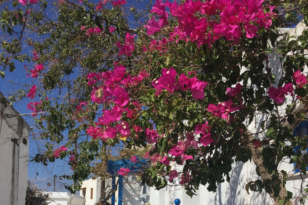 Photo of Outdoor in Glinado
