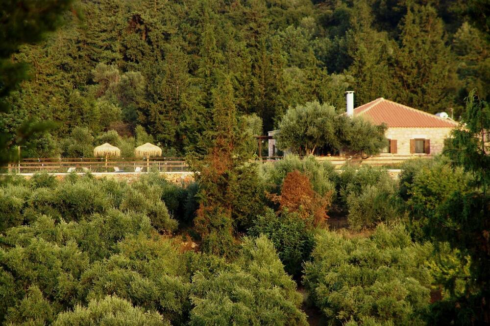 Photo of Outdoor in Maza