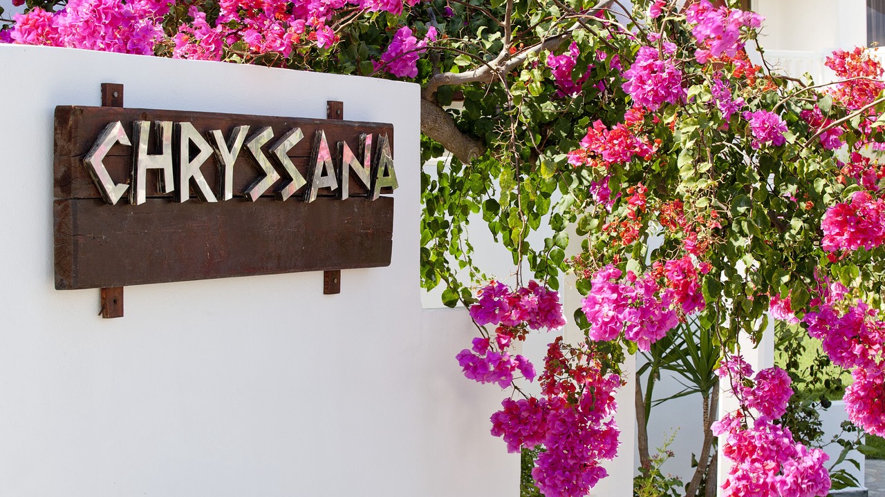 Photo of Outdoor in Kolymvari