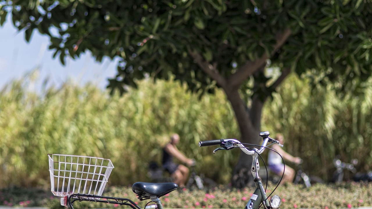Photo of Outdoor in Lambi