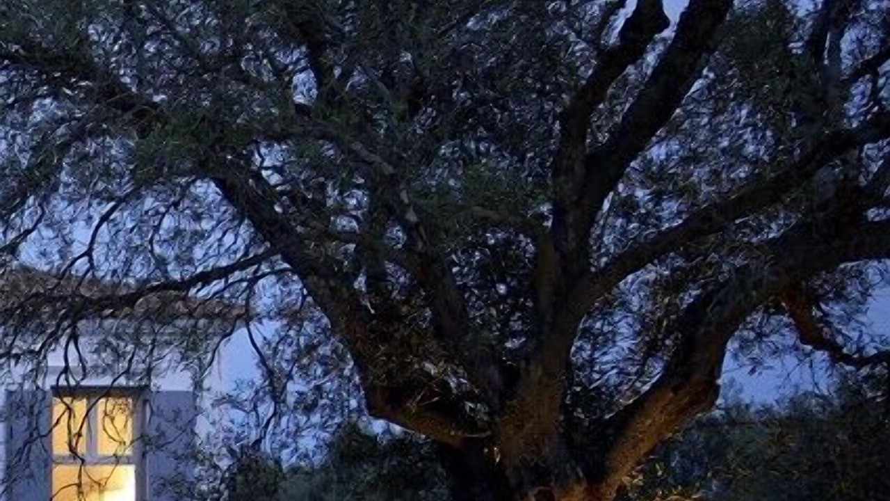 Photo of Outdoor in Kateleios