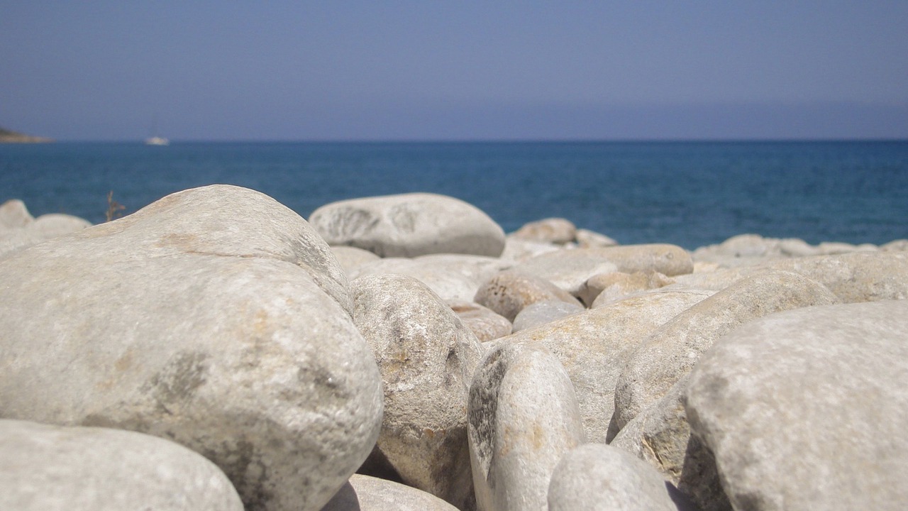 Photo of Others in Stegna