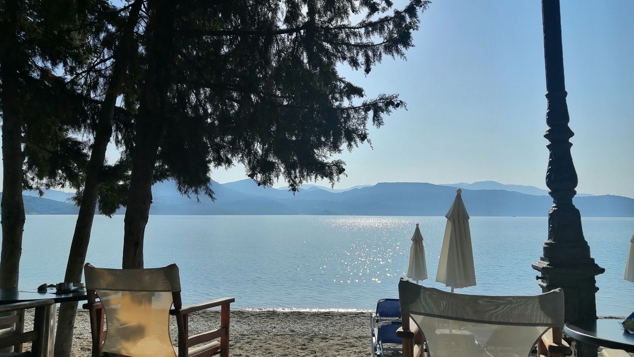 Photo of Others in Lygia