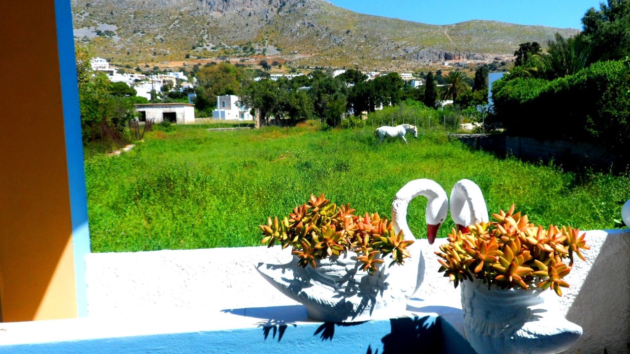 Photo of Outdoor in Alinda