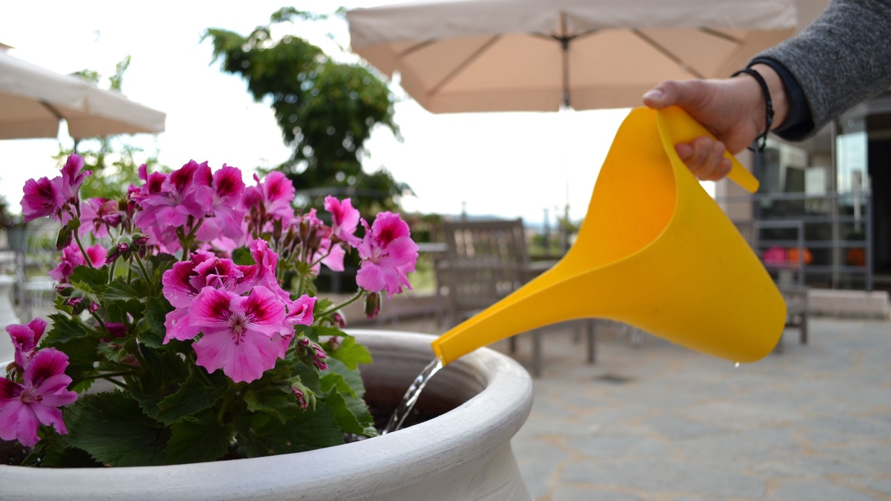Photo of Outdoor in Ioannina