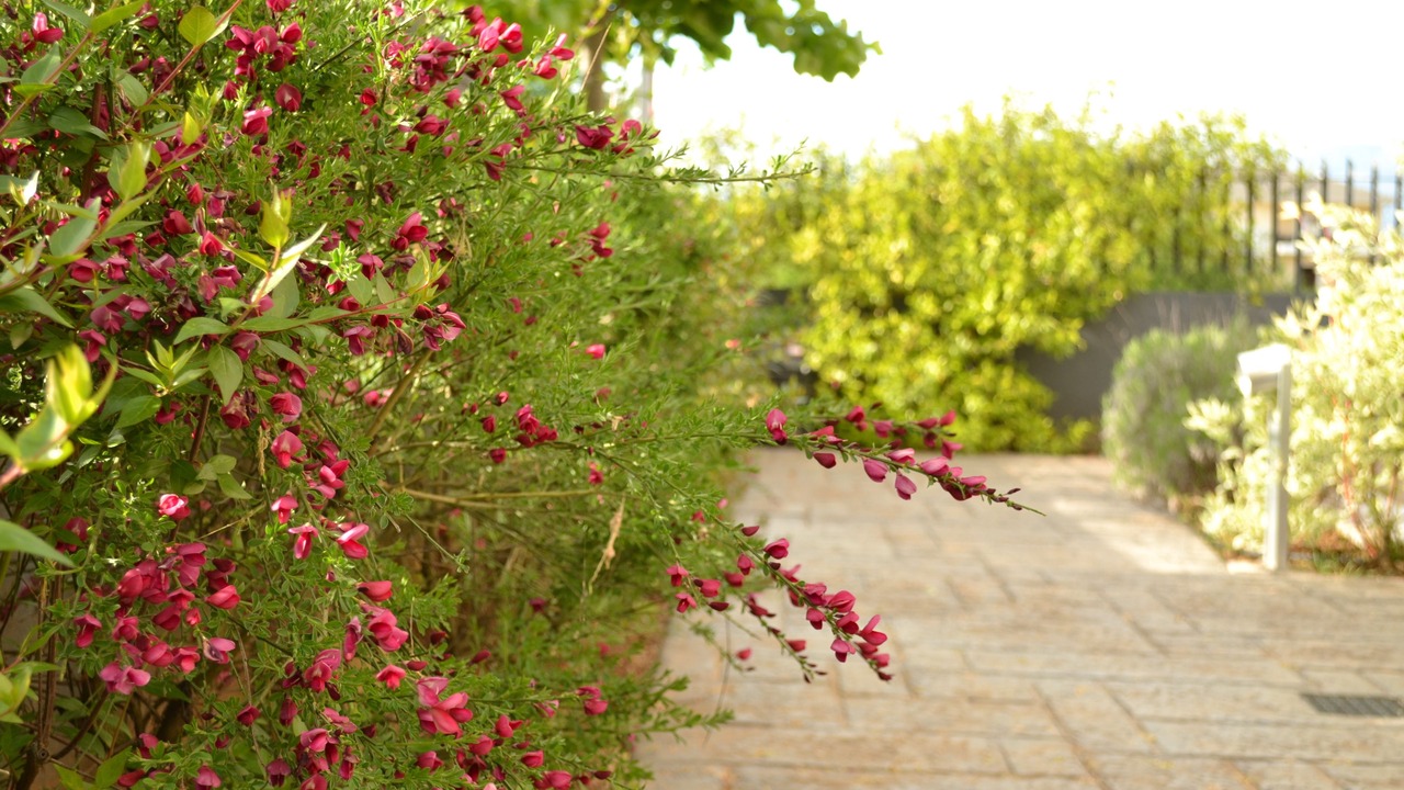 Photo of Outdoor in Ioannina