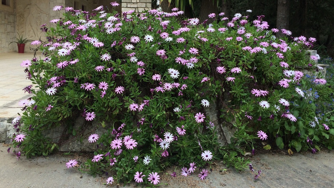 Photo of Outdoor in Monopari