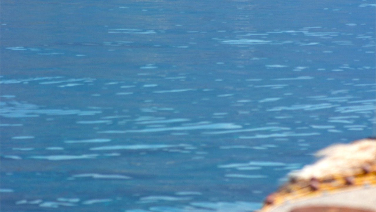 Photo of Others in Agia Roumeli