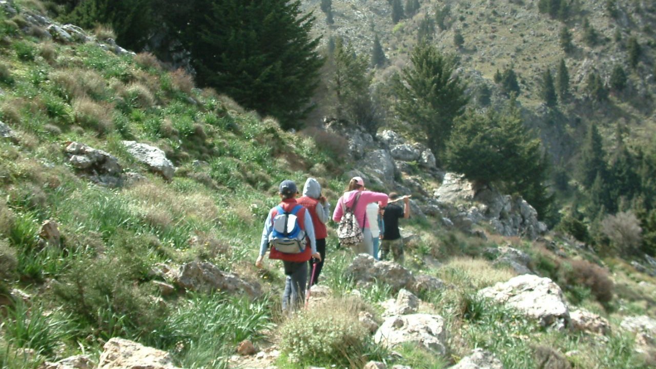 Photo of Outdoor in Zourva