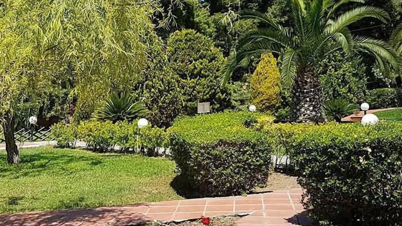 Photo of Outdoor in Elia Nikitis