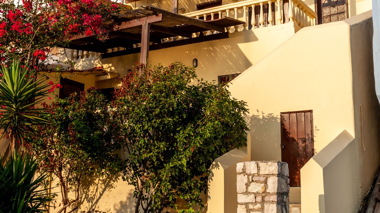 Photo of Others in Halki