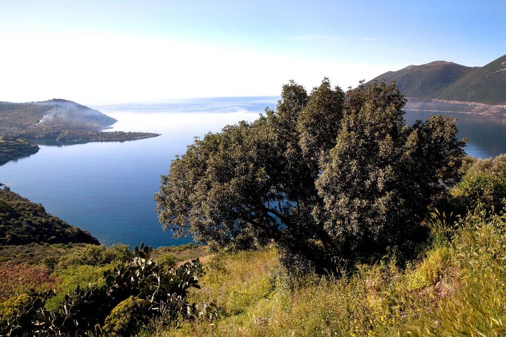 Photo of Outdoor in East Mani